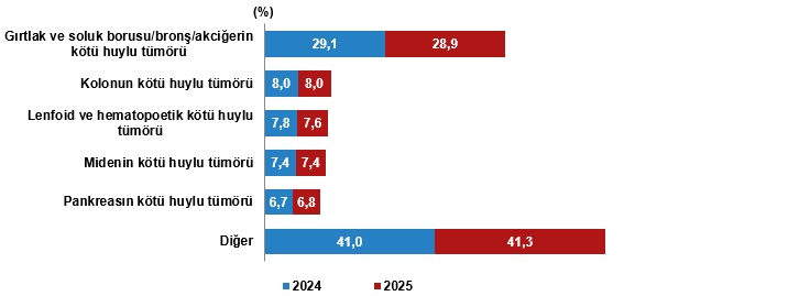 Ölüm ve Ölüm Nedeni İstatistikleri, 2025
