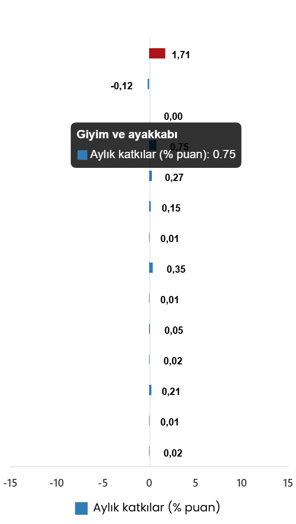 Tüketici Fiyat Endeksi, Mayıs 2026