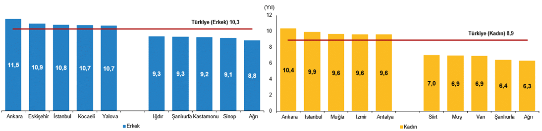 Ulusal Eğitim İstatistikleri, 2025