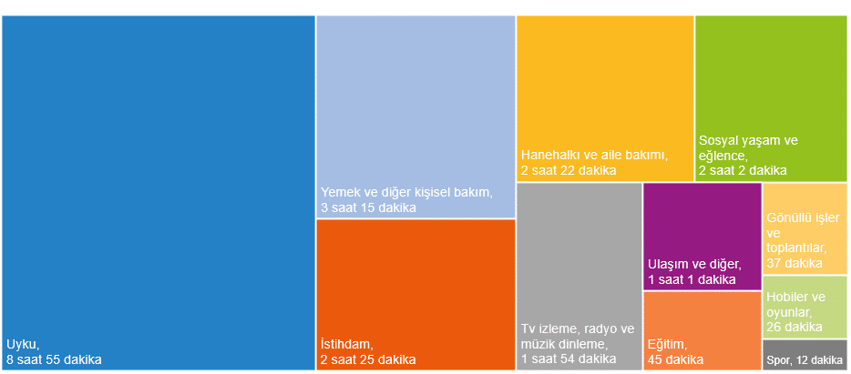Zaman Kullanım Araştırması, 2025
