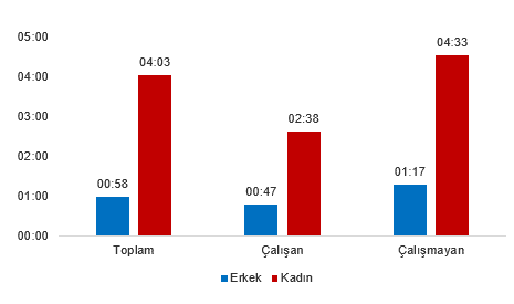 Zaman Kullanım Araştırması, 2025