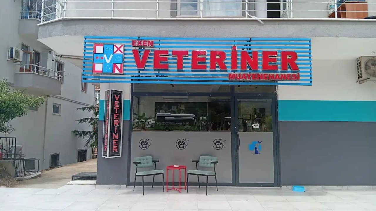 Gölcük Veteriner Hizmetleri Neyi Kapsar?