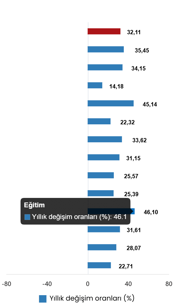 Tüketici Fiyat Endeksi, Haziran 2026
