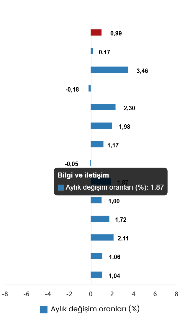 Tüketici Fiyat Endeksi, Haziran 2026