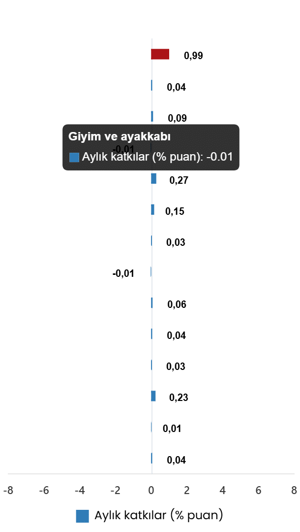 Tüketici Fiyat Endeksi, Haziran 2026