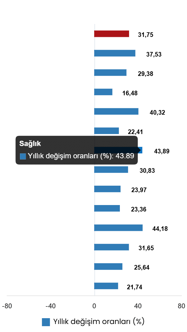 Tüketici Fiyat Endeksi, Temmuz 2026