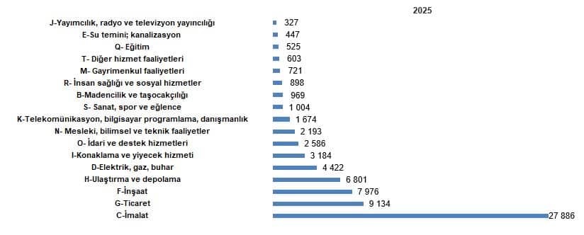 Yıllık Sanayi ve Hizmet İstatistikleri, 2025