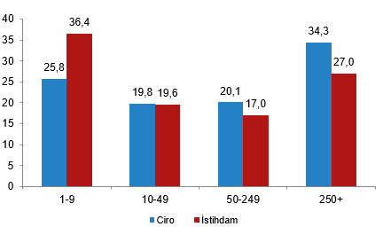 Yıllık Sanayi ve Hizmet İstatistikleri, 2025