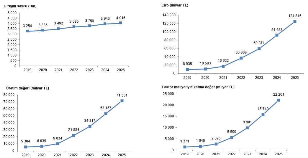 Yıllık Sanayi ve Hizmet İstatistikleri, 2025
