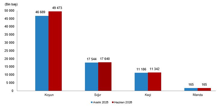 Hayvancılık İstatistikleri, Haziran 2026
