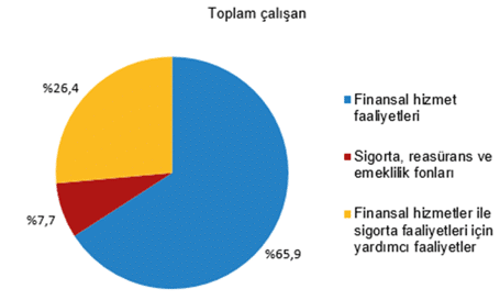 Mali Aracı Kuruluş İstatistikleri, 2025