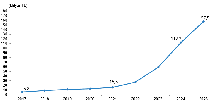 Mali Aracı Kuruluş İstatistikleri, 2025