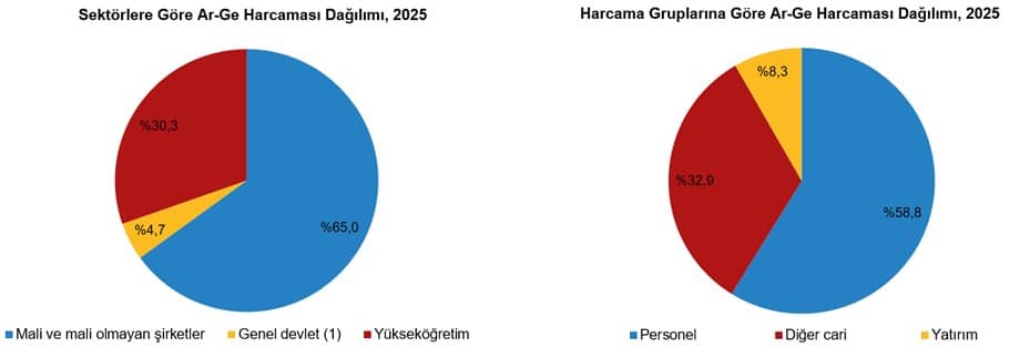 Araştırma-Geliştirme Faaliyetleri Araştırması, 2025