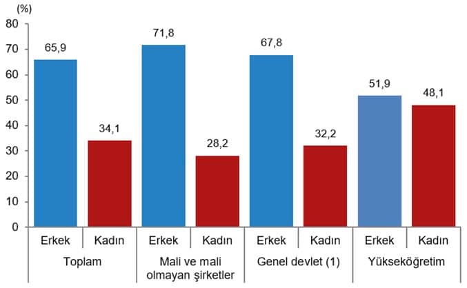 Araştırma-Geliştirme Faaliyetleri Araştırması, 2025