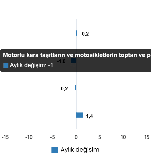 Ticaret Satış Hacim Endeksi, Ağustos 2026