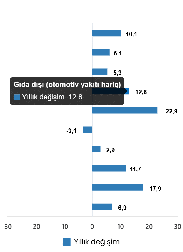 Ticaret Satış Hacim Endeksi, Ağustos 2026